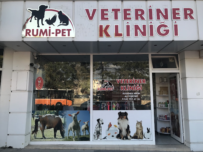 Rumi Pet Veteriner Kliniği — Veteriner